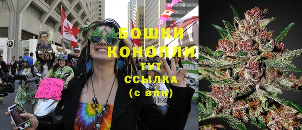 прущие грибы Аркадак