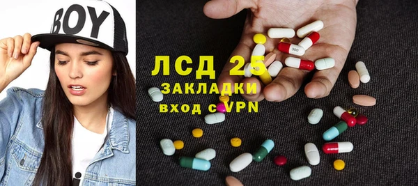 прущие грибы Аркадак