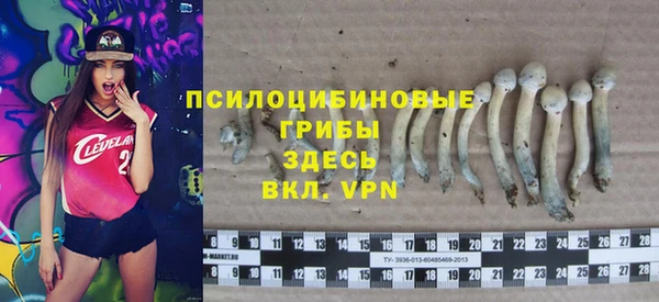 прущий лед Армянск