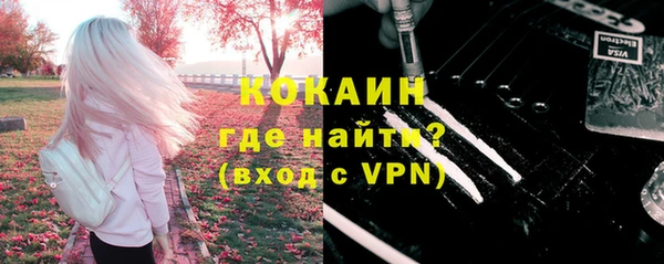 прущие грибы Аркадак