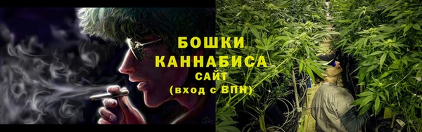 прущие грибы Аркадак