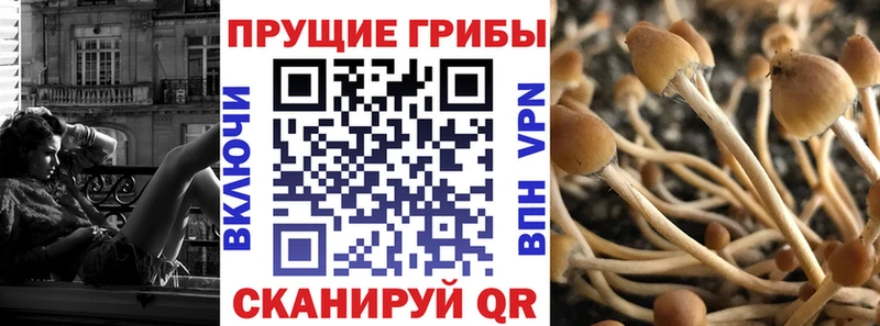 Галлюциногенные грибы мицелий Нововоронеж